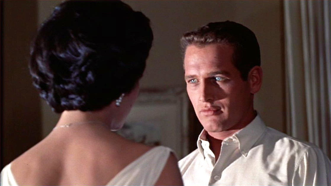 Hot Dream Come True Elizabeth T DREAMS ARE WHAT LE CINEMA IS FOR...: CAT ON A HOT TIN ROOF 1958