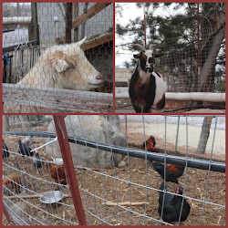 farm river reno nv tour goats chickens