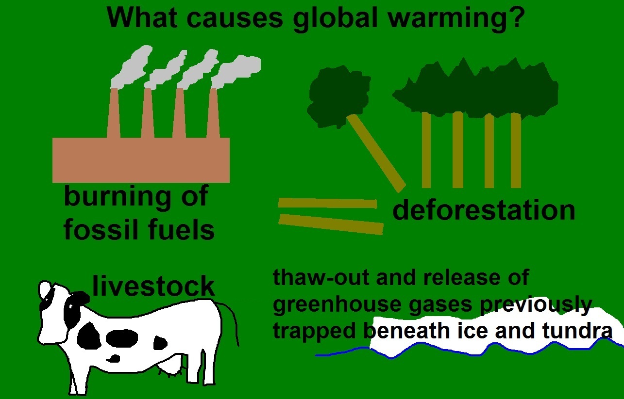 Effects of global warming. Global warming causes. What is Global warming. Reasons of Global warming. What causes Global warming.