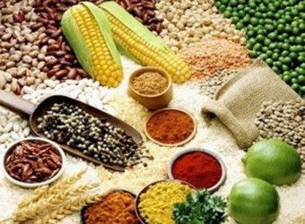 Materi Pelajaran Kelas Ix Smp Prakarya