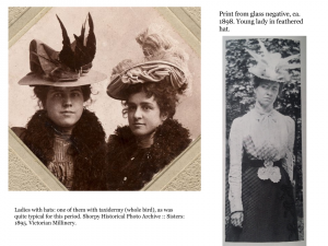 Plumas de diversas especies adornaban sombreiros e toucados na época victoriana sombreiros e toucados de muller con plumas de aves