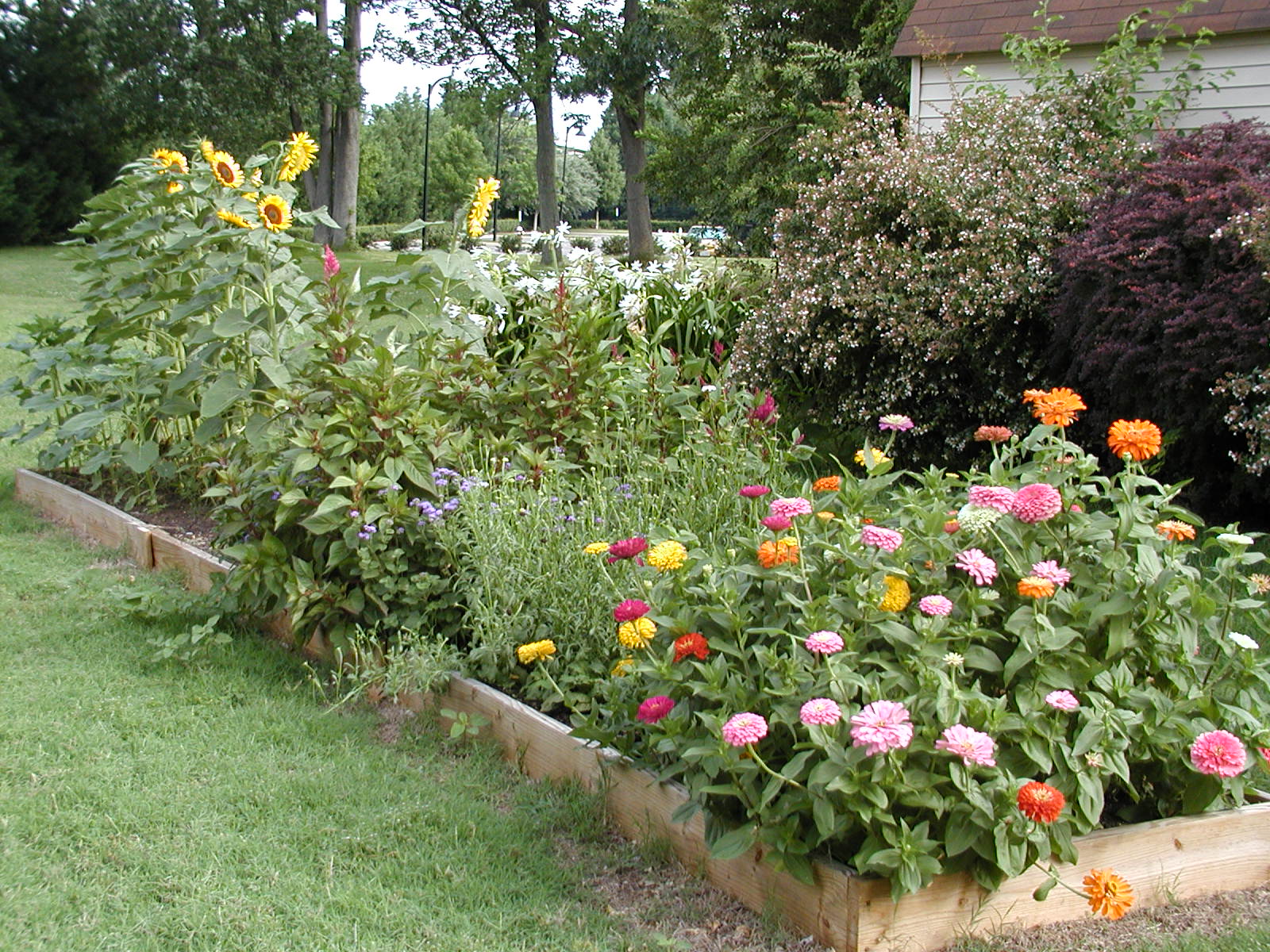 Gene's Garden Cutting Garden