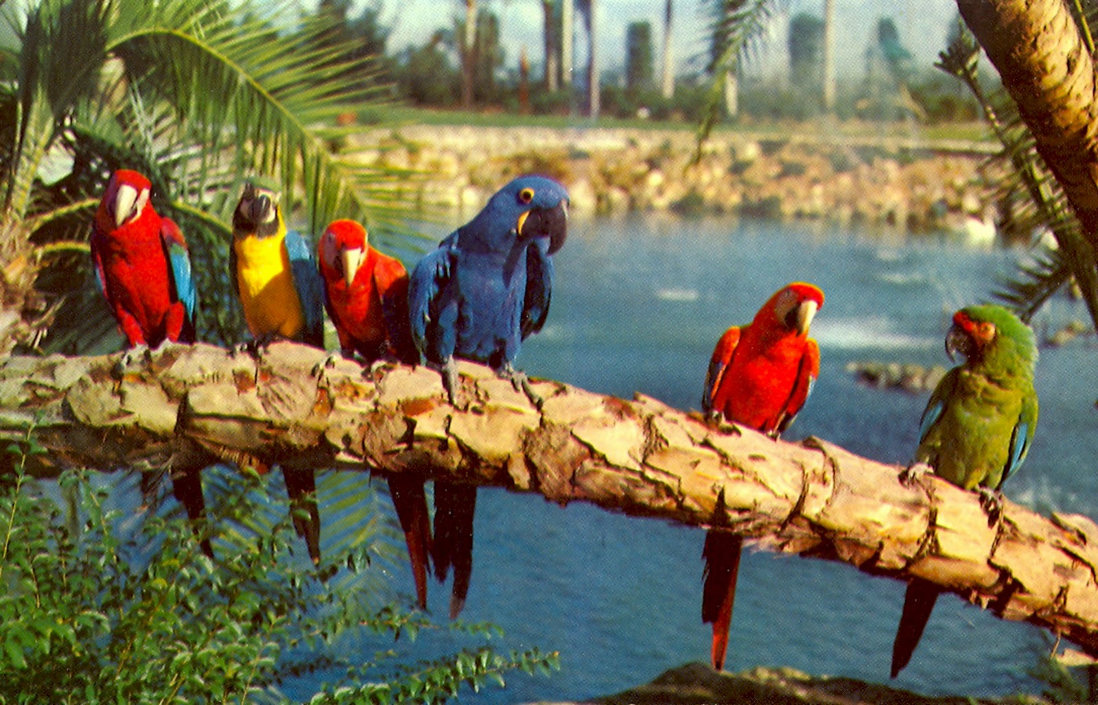 The Museum of the San Fernando Valley BUSCH GARDENS WAS A HOLIDAY
