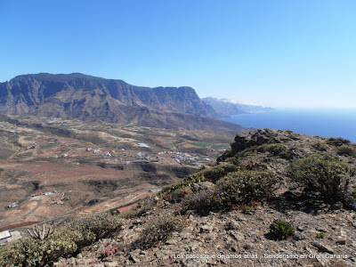 Tamadaba y Faneque desde el Monte Amagro Tamadaba y Faneque desde el Monte Amagro
