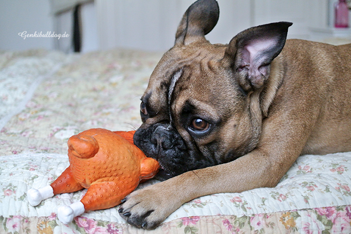 Brathähnchen Hundespielzeug Brathähnchen Hundespielzeug