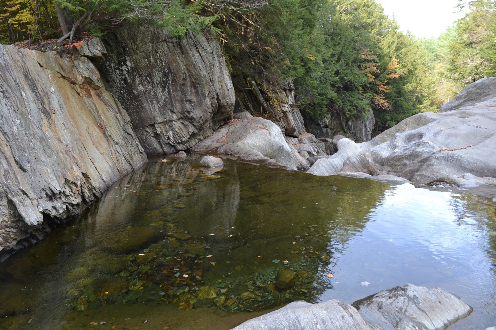 DSC_0331.jpg