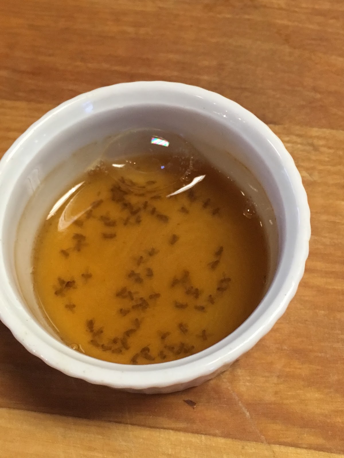 Cooking with Barry & Meta Natural Gnat Catcher made from everyday k