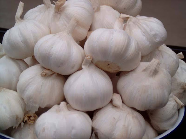Makanan Penurun Darah Tinggi