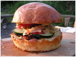 kata sp  jza  H  zi hamburger  els   nekifut  s