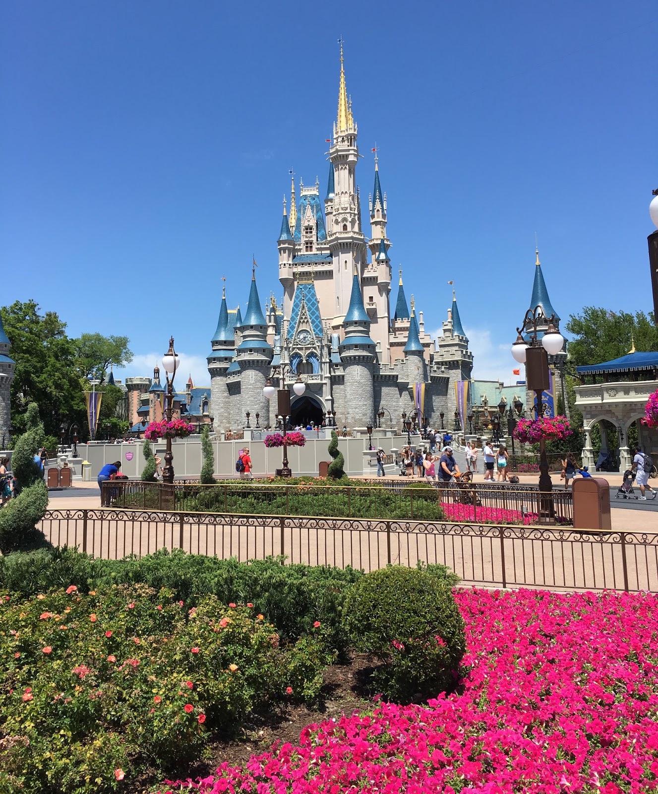 Alexis's Gluten Free Adventures: Fairytale Dining Dinner at Cinderella