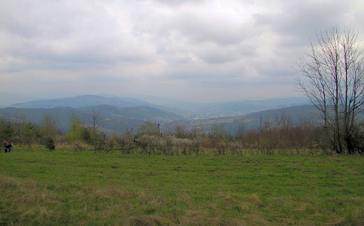 Panorama z polany na Gołuszkowej Górze.