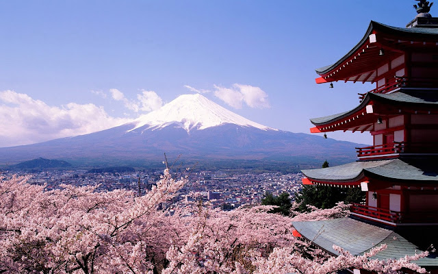 Excursió al Mt. Fuji, als 5 llacs i al bosc dels suïcidis