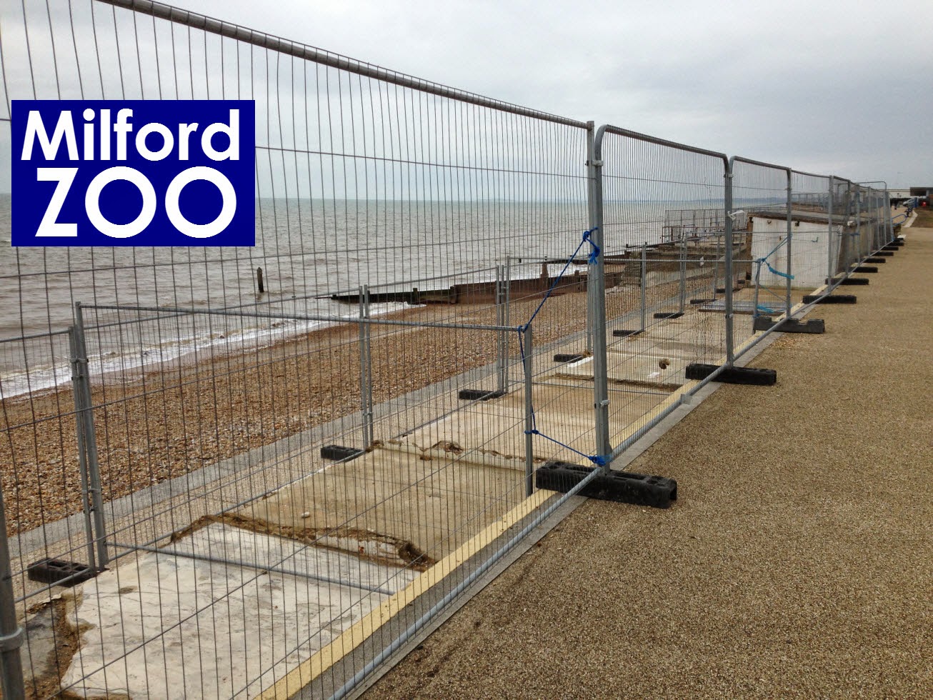 Enjoy Milford on Sea Calamity at Milford Zoo