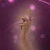 ¡¡Vídeo e imágenes de la transformación Stella Sirenix 3D!!