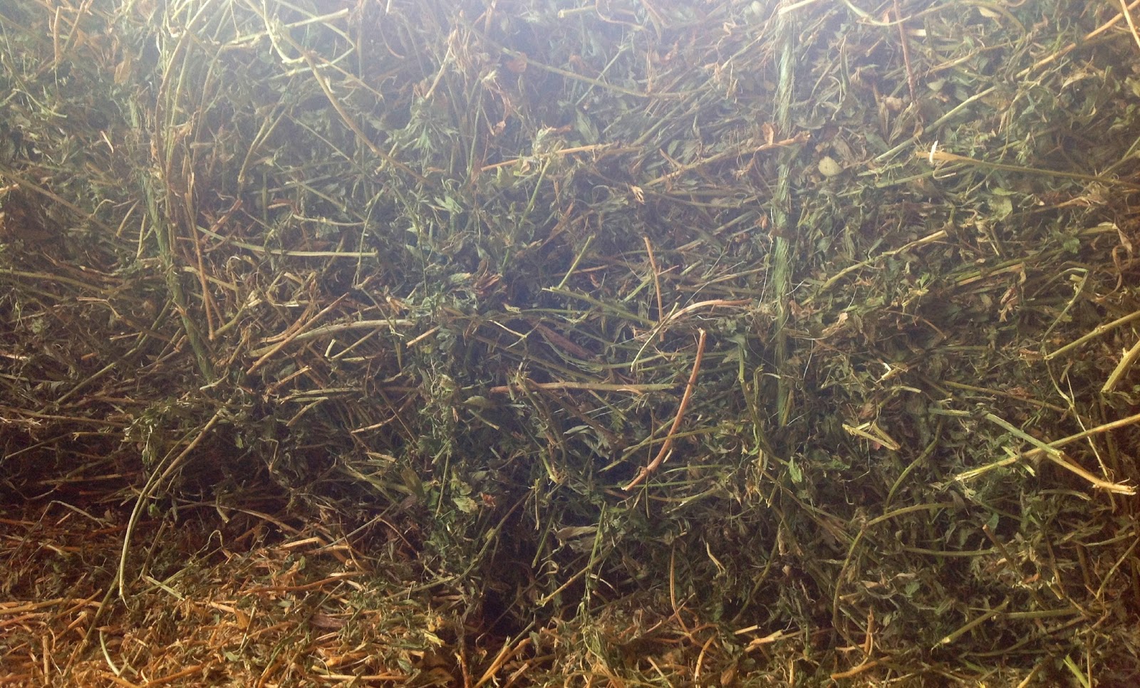 Hay for Sale in Virginia