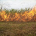 खेत में रखी गेंहू की फसल में लगी आग, हजारों का नुकसान