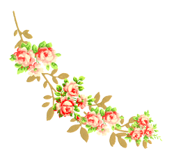 corner flower digital clip flowers scrapbooking borders designs rose invitation pink roses clipart transparent second lovely elements border accent frame