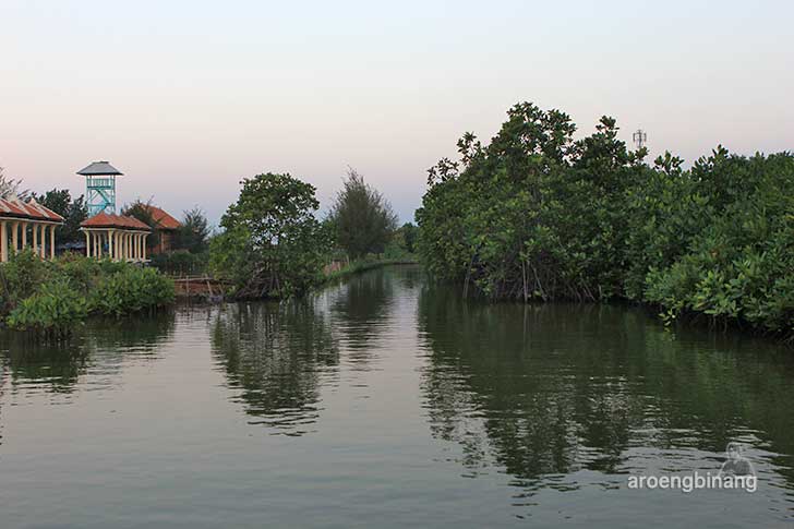 pekalongan mangrove park