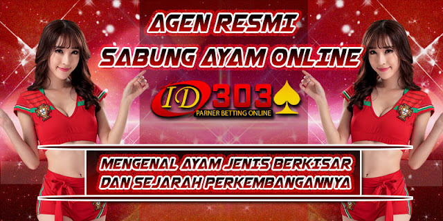 MENGENAL AYAM JENIS BERKISAR DAN SEJARAH PERKEMBANGANNYA MENGENAL AYAM JENIS BERKISAR DAN SEJARAH PERKEMBANGANNYA