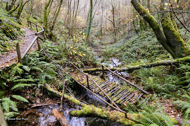 Senderos y Bosques de Taramundi - Asturias por El Guisante Verde Project