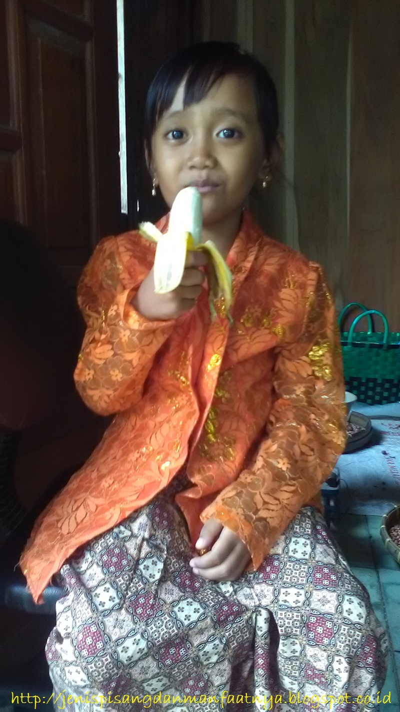Makan Pisang Awak Gambar Ciri Ciri Pisang Awak Saat Dimakan