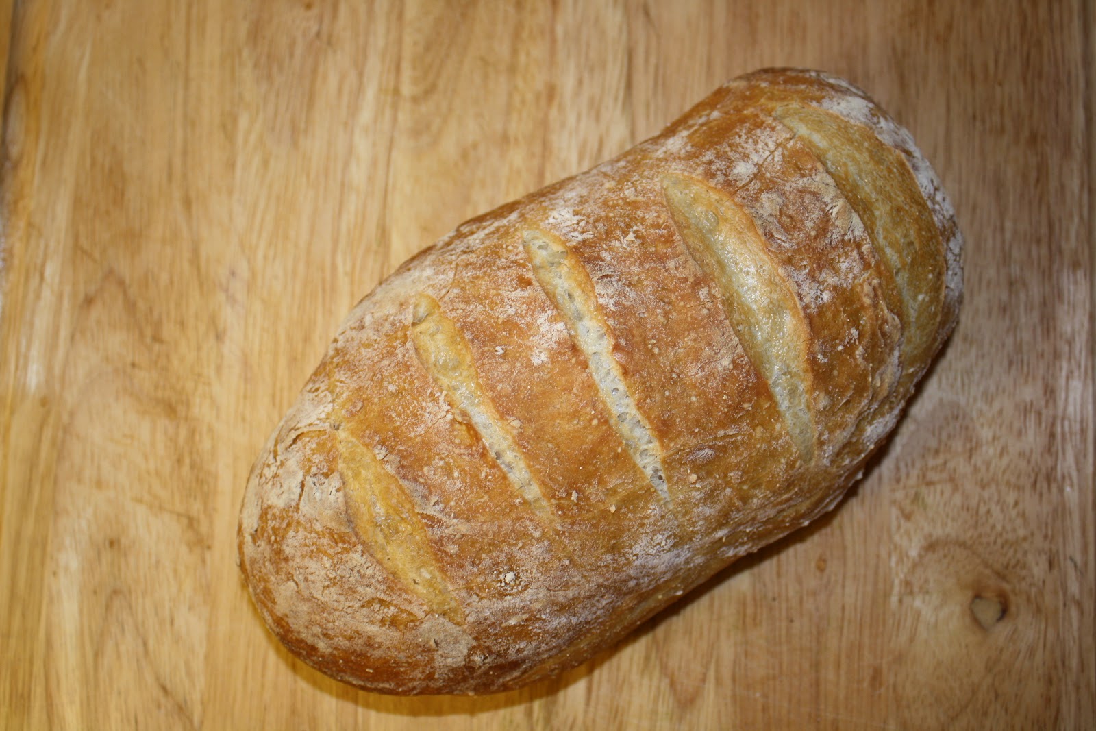 Redhead Cuisine No Knead Bread, Pita and Naan!