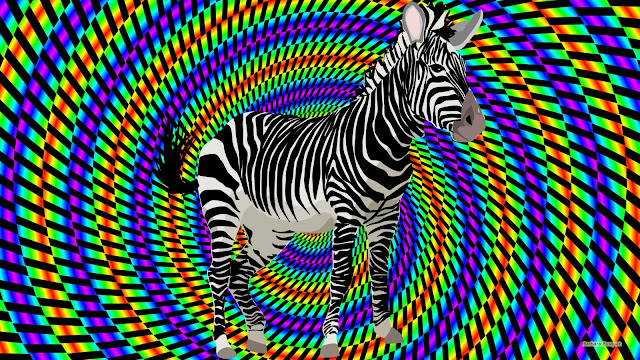 Kleurrijke wallpaper met zebra
