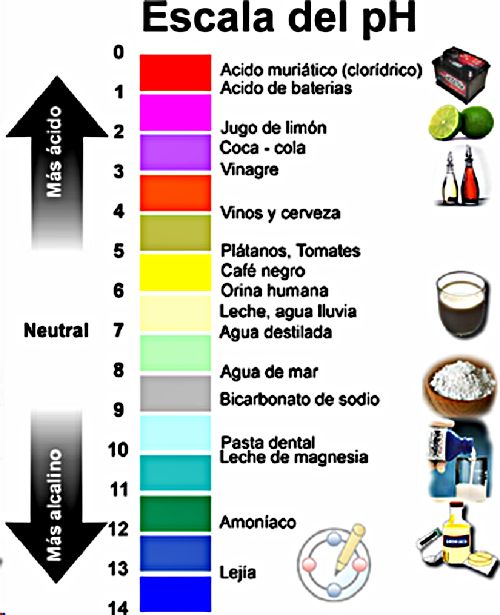 Escala del Ph. escalaph