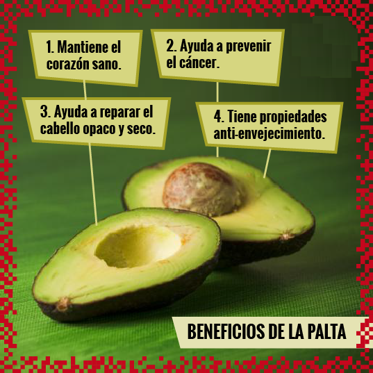 Beneficios de la palta o aguacate para tu salud LO MEJOR PARA NOSOTROS, EN SALUD AMOR Y DINERO