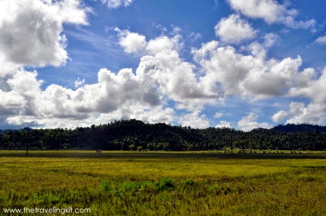 Marihatag Tree Park and Resort in Surigao del Sur