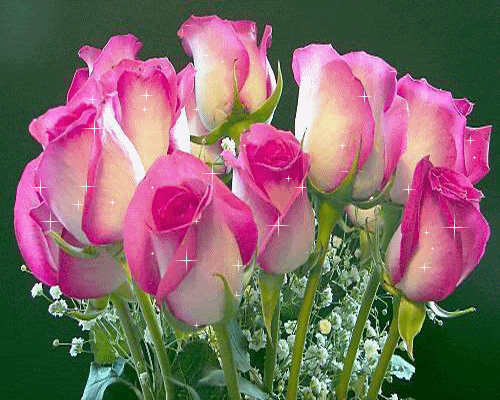 3e73c0bb5b31ac2908d48464eaac2b41.gif