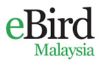 eBirds : Malaysia