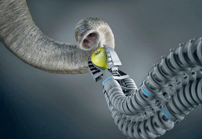 Pin by jaureguiroots on Wayhaught Coffee maker, Coffee