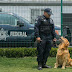 Ni los perros se salvan: El narco amenaza de muerte a los perros de la policía de México