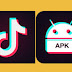 TikTok is No Longer to Download From Play Store and App Store in India