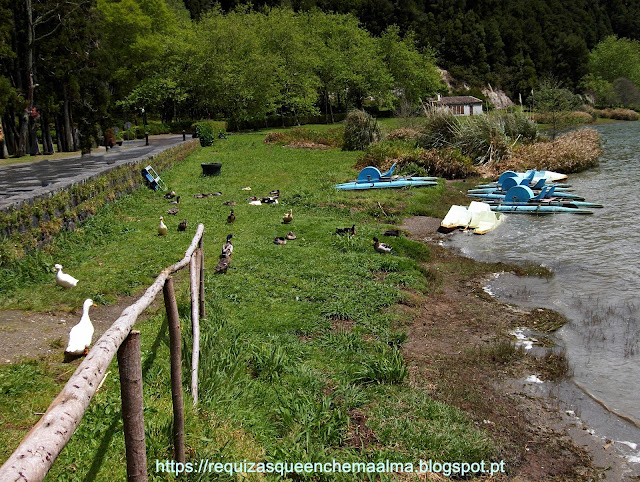 Caldeiras da Lagoa das Furnas Lagoa das Furnas