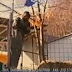 ΕΛΛΗΝΙΚΕΣ ΟΙΚΟΓΕΝΕΙΕΣ ΕΦΥΓΑΝ ΚΑΙ ΖΟΥΝ ΚΡΥΜΜΕΝΟΙ ΣΕ ΚΟΙΝΟΒΙΑ ΣΤΑ ΒΟΥΝΑ ΓΙΑ ΝΑ ΜΗΝ ΣΦΡΑΓΙΣΤΟΥΝ!!!ΜΑΣ ΕΥΧΟΝΤΑΙ ΚΑΛΗ ΜΕΤΑΝΟΙΑ!!!ΣΟΚΑΡΙΣΤΙΚΟ ΒΙΝΤΕΟ ΑΠΟ ΕΙΔΗΣΕΙΣ!!!