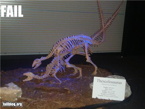 Photo : 絶滅の時を迎えた恐竜が最後にしたかったこと…