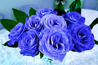 Bunga Mawar Biru Paling Cantik Wallpaper_Blue Roses Flower Bunga Mawar Biru Paling Cantik Wallpaper_Blue Roses Flower