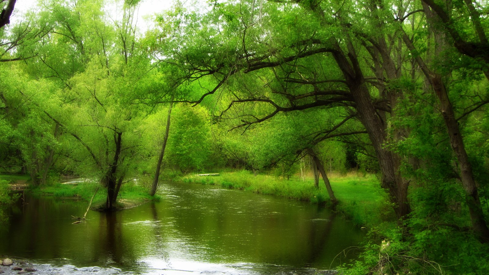 A Plein Air Painter's Blog Michael Chesley Johnson Pastel Artists