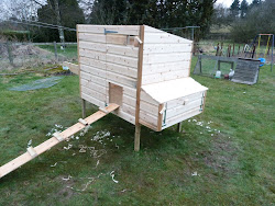 coop chicken shiplap another clad coat ready