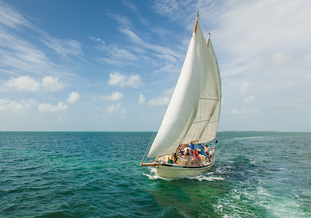  Key West, key west attraction, Explore Keywest Florida, things to do in Key west, Key West Bahamas Cruise, Cruise travel to Key West, Houses of Key West, places to visit at Key West,