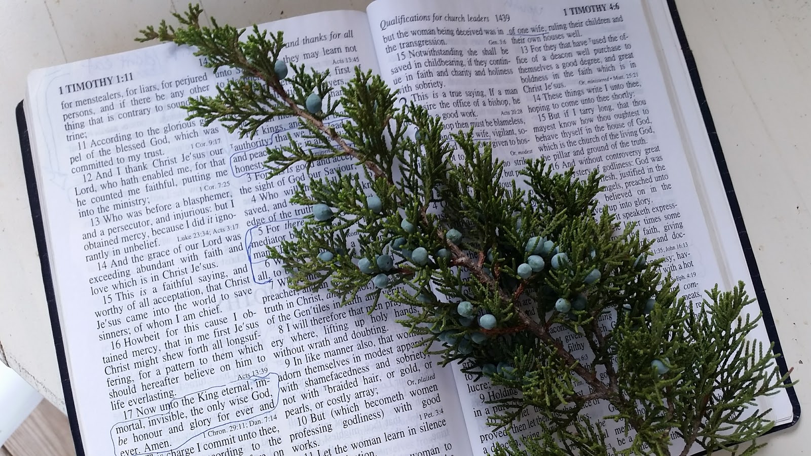 Juniper Berries, and my Bible