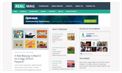 Real Magz - Modern, User Friendly and Professional Blogger 