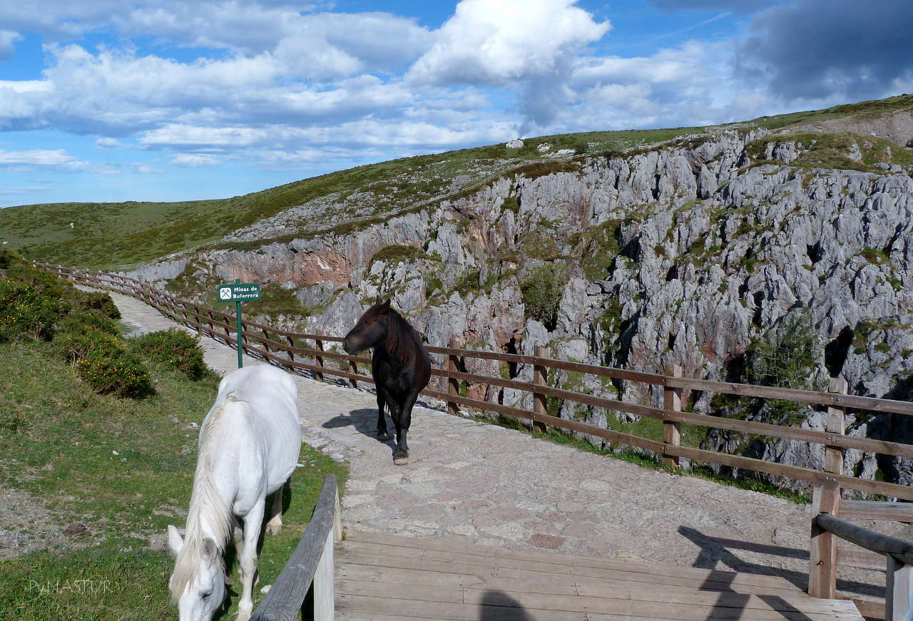 View Parque Nacional De Los Picos De Europa Asturias Gif