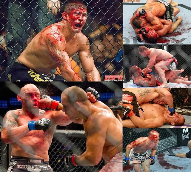 Resultado de imagem para O MMA DA UFC