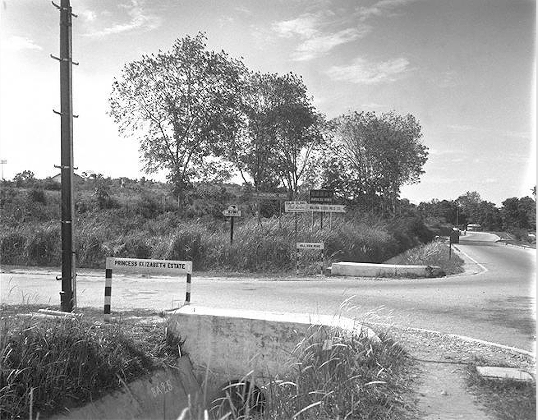 Princess Elizabeth Estate, Hillview Hillview Road in 1956