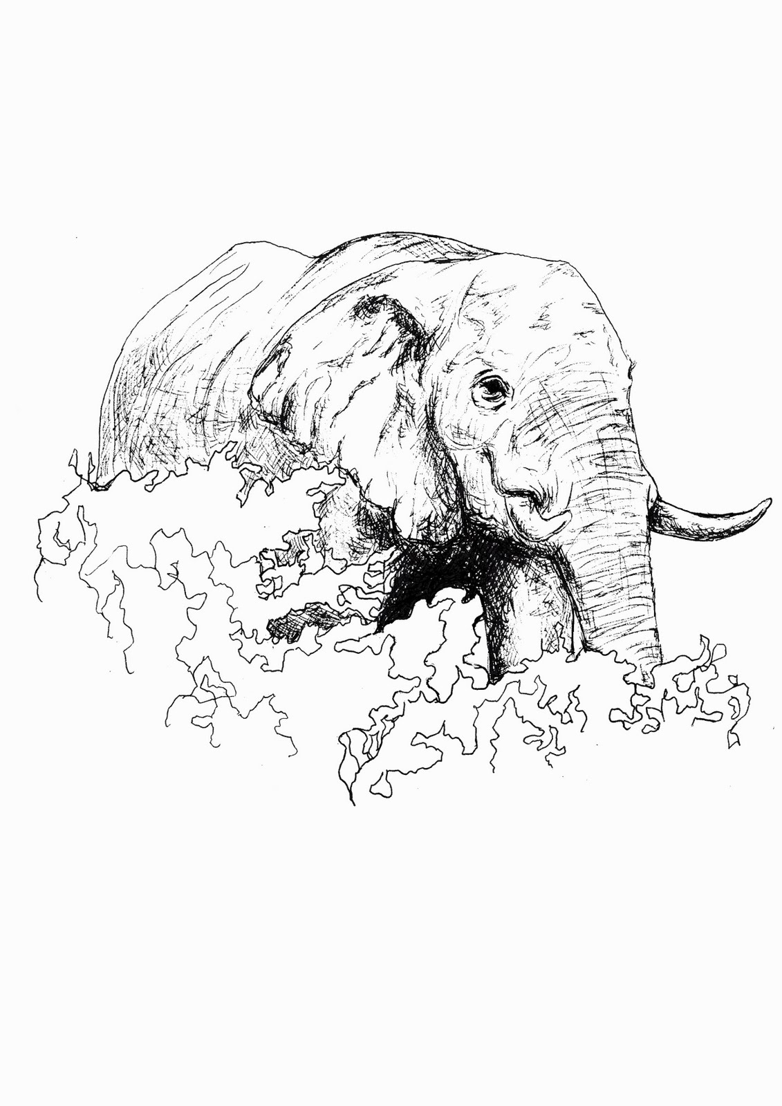 Stephanie Stuart Interior Textiles Poaching first hand drawings