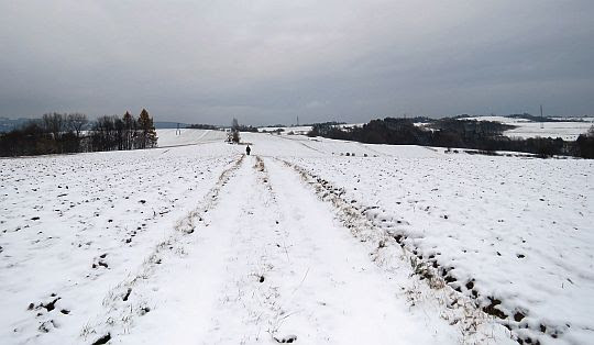 Wierzchowina Działu. Wierzchowina Działu.