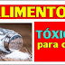 10 Alimentos Tóxicos para Cães